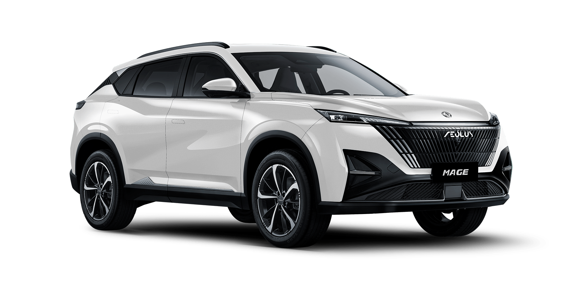 Dongfeng Mage
